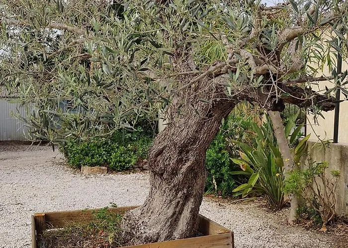 Les Cigales Lejlighed *