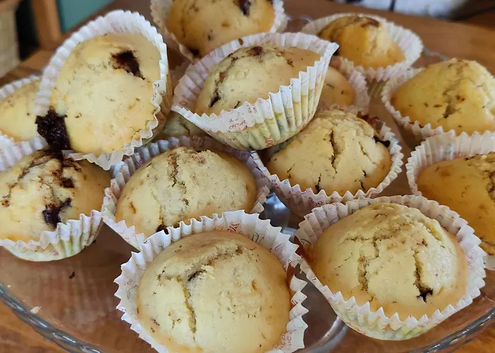 Lejlighed Les Cigales